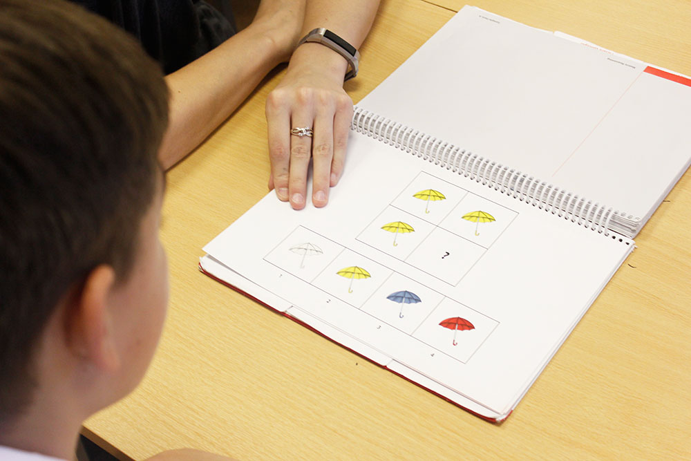 Dyscalculia assessment