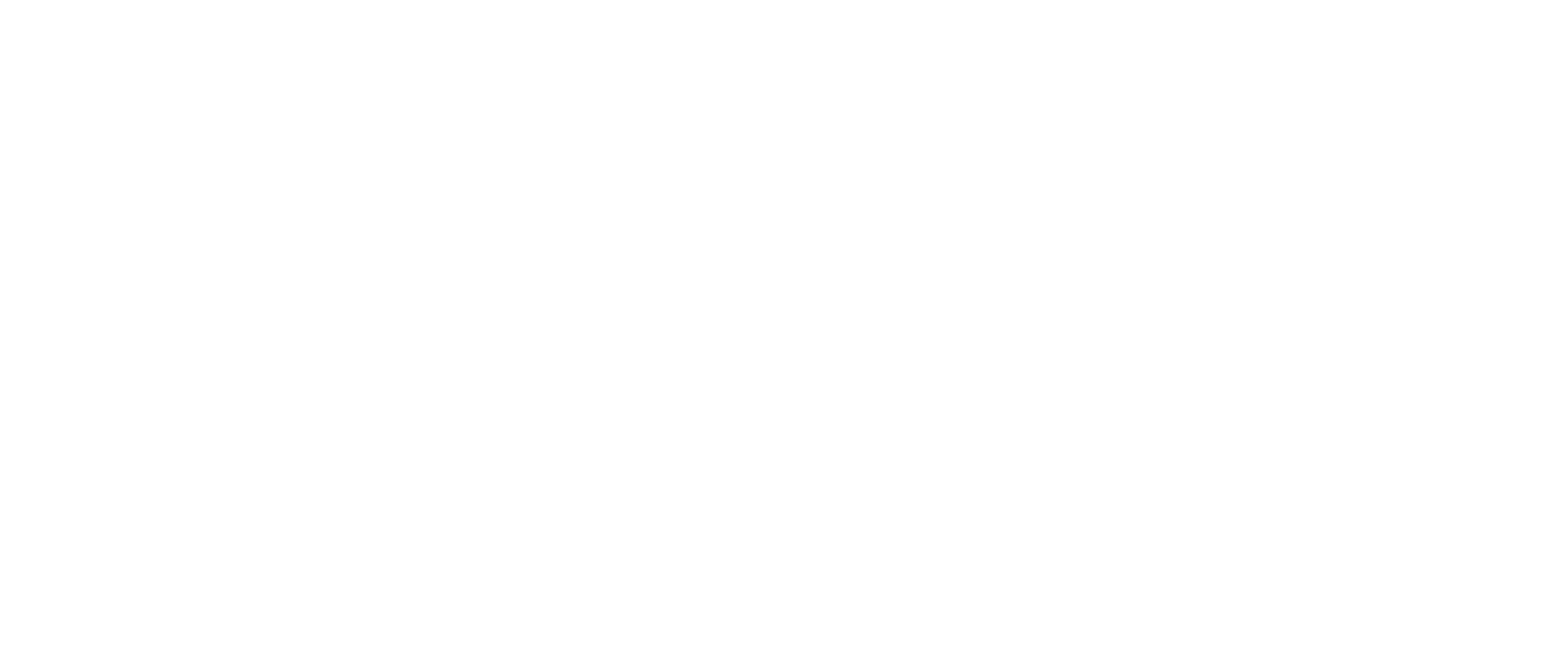 Social Enterprise logo